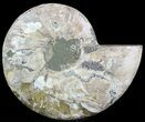 Wide Polished Ammonite Dish - Inlaid Ammonite #49781-1